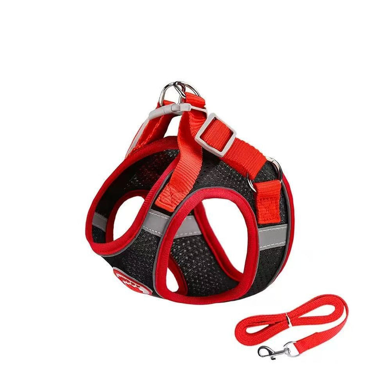 Puppy Harness and Leash Set