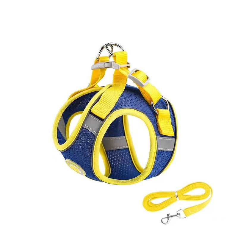 Puppy Harness and Leash Set