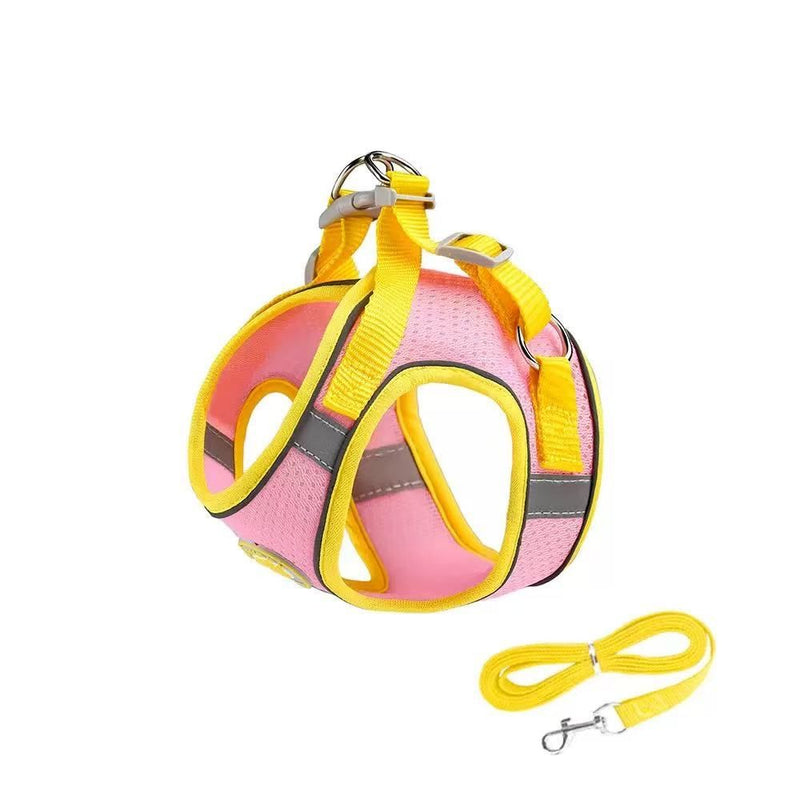 Puppy Harness and Leash Set