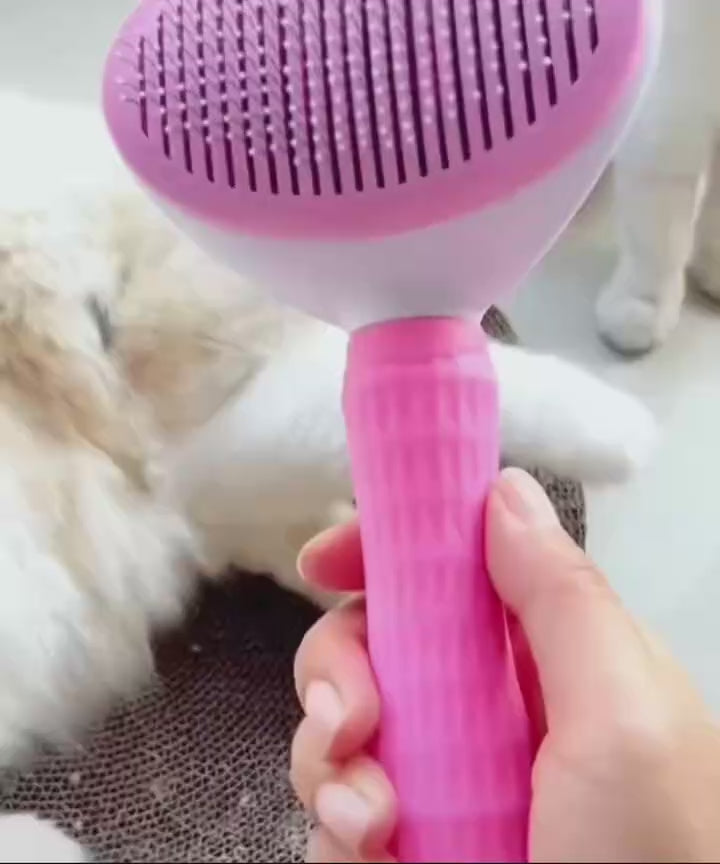 Paw-some Videos