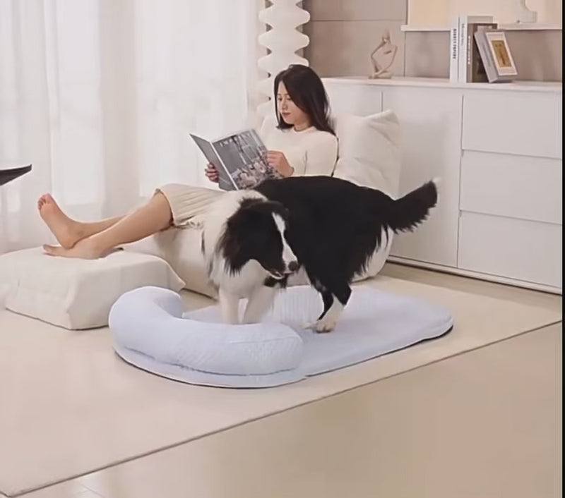 Paw-some Videos