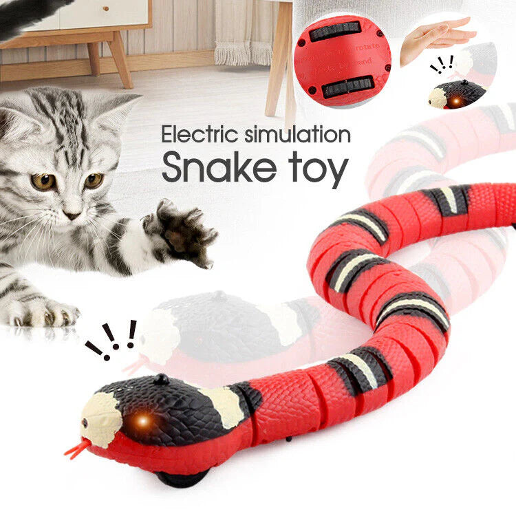 Jouet interactif et rechargeable pour animaux de compagnie Serpent capteur